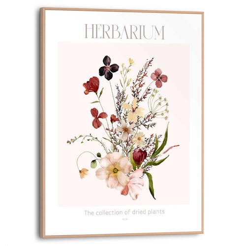 Bild herbarium bht 30x40x1 - bild, 30x40x1.60