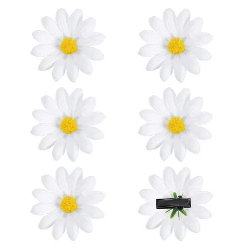 Stück gänseblümchen - 6,