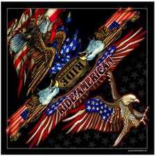 American Biker Eagle Adler USA