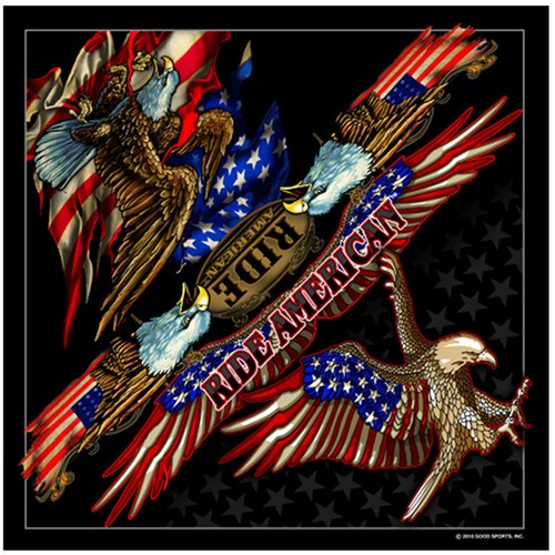 American biker eagle adler usa - eagle,