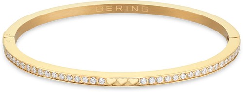 Bering arctic symphony - arctic,