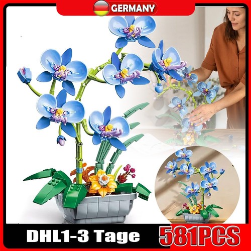 Orchideen blumenstrauß - orchideen,