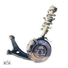 FEDERBEIN VORNE LINKS