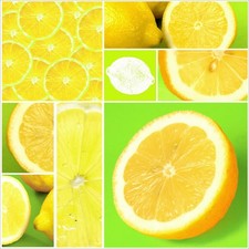 Pro-Art AN243J5 Leinwand Wandmalerei Keilrahmen Wanddekoration