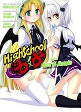 HighSchool DxD Special: Bd. 1