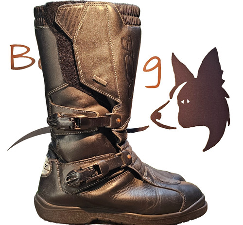 Tcx infinity gtx goretex - infinity, leder