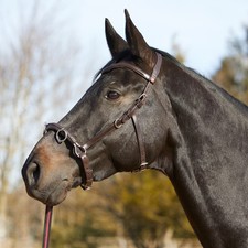 Kieffer Kappzaum Ultrasoft  - braun - Warmblut Kapp Zaum Pferde Reiten Training