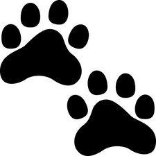 2 paws 6cm black 1 pair paws