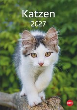 Katzen kalender 2027 heye - katzen,