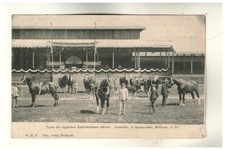 AK Pferde Ausstellung Leipzig 1909 Aussteller Romanowski Mehlsack Ostpreußen (5)