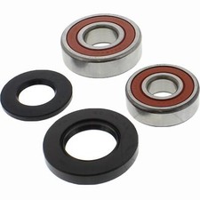 Radlager Satz hinten für