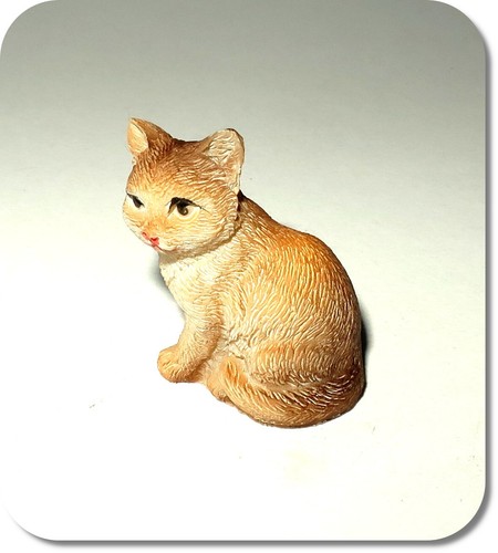 Miniatur katze neu - miniatur, katze,