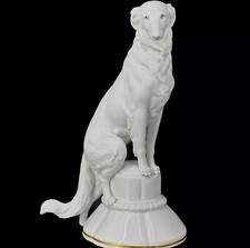 Barsoi Windhund Greyhound