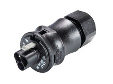 Wieland stecker rst20i3s - stecker,