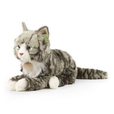 Norweger Katze grau liegend H=