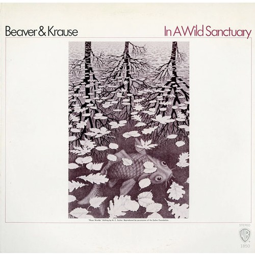 Beaver krause in a - krause,