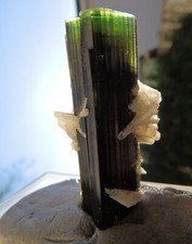 Großer Turmalin Kristall Elbait Blue-Green-Cap Tourmaline Stak Nala Pakistan