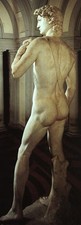 Michelangelo_David_(Rückansic