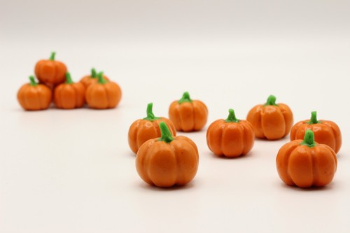 Miniatur kürbis - miniatur,