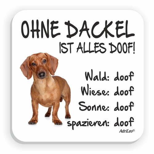 Kühlschrankmagnet ohne - kühlschrankmagnet, "ohne