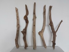 Treibholz 5 dicke Äste Ast L 61 - 68 cm Basteln Deko DIY Schaufenster Terrarium