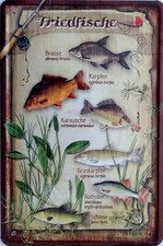 Blechschild 20x30 cm -