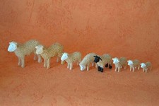 Schaf 35 mm Schwarz Reifenvieh