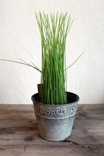 Blumentopf Zink Ornament