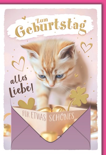 Geburtstag geldgeschenkarte - geburtstag,