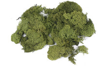 50g Islandmoos Grün Deko Diorama Modell Eisenbahn Landschaft H0/0/1/TT/N/Z