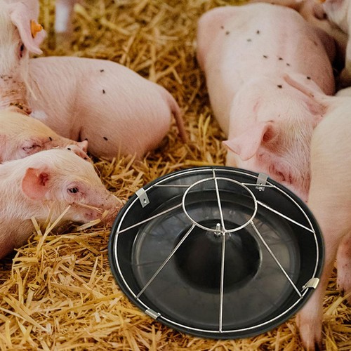 Schweinefuttertrog