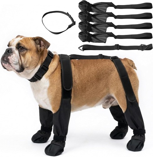 Hundeschuhe wasserdicht - hundeschuhe,