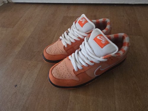 Nike concepts dunk - nike, sb