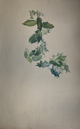 Mario barone 1902 ilex - mario, *1902