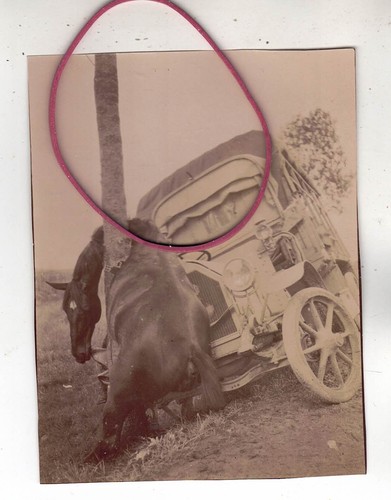 Photo foto auto automobile - auto,