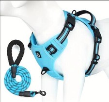 Hundegeschirr , Anti-Zug