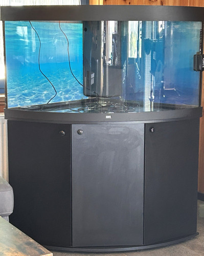 Juwel trigon 350 - juwel, gebraucht