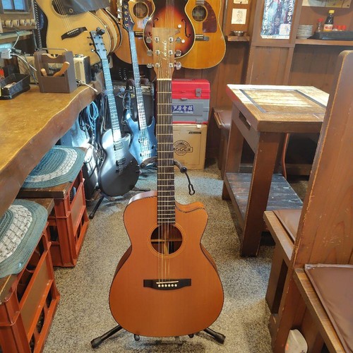 Akustikgitarre lakewood 1 - akustikgitarre, m-1