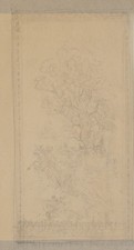 Willi Schmid Landschaft