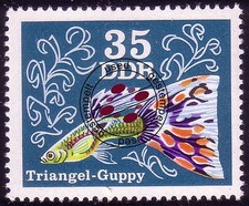 2180 Zierfische Guppys 35 Pf O