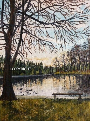 Shearwater lake original - shearwater,