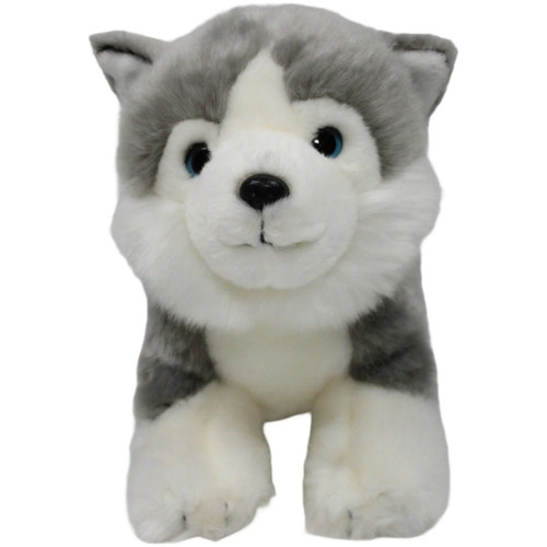 Bauer hund husky - hund, welpe