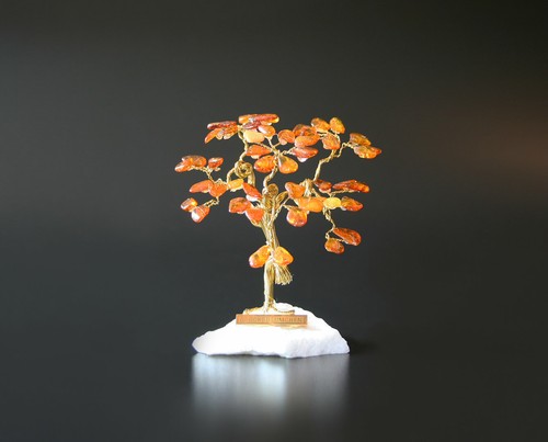 Glücksbaum glücksbäumchen - glücksbaum,