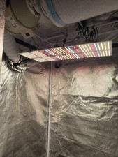 Growzelt mit LED Lampe Seilzug 4x Und Ventilator  Feuchtigkeits/Temperatur Gerät