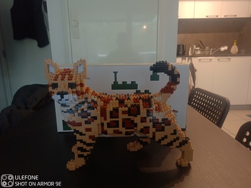 Jekca bengal cat 1 - cat, 4-in-1