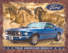 US Schild  ca. 30 x 40 cm Ford