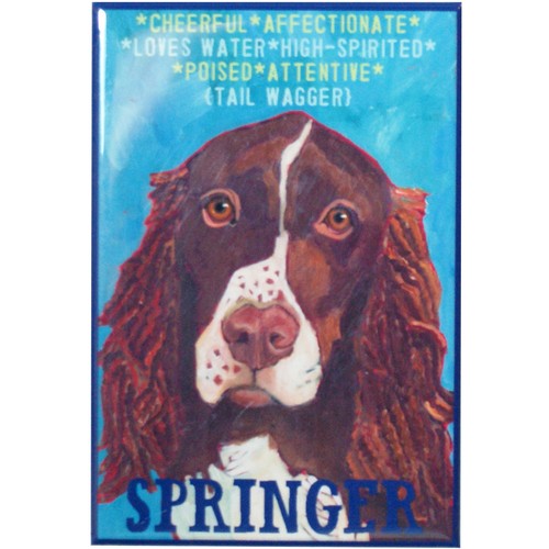 Springer spaniel - springer,