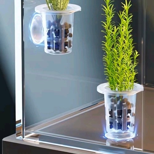 Stück aquarium - stück,
