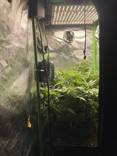 Growbox Komplettset