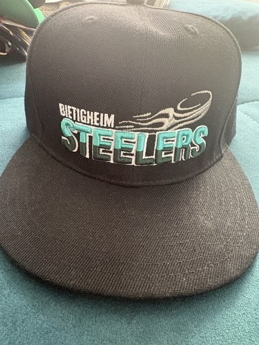 Bietigheim steelers eishockey - steelers,